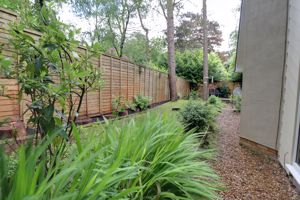 Side Garden- click for photo gallery